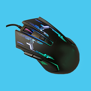 Mouse